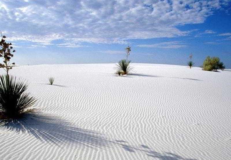 فندق أجنحة سبرينج هيل لاس كروسيس لاس كروسيس، نيومكسيكو المظهر الخارجي الصورة
